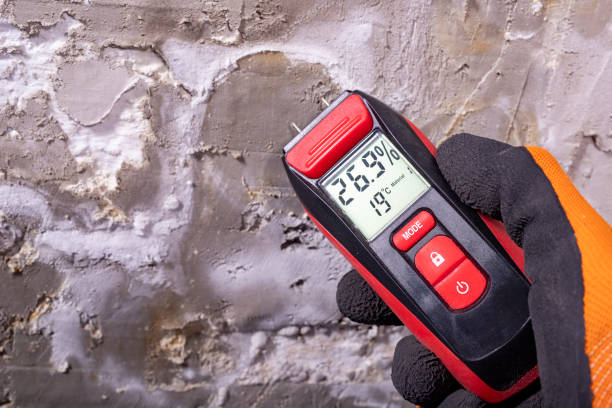 Best Mold Testing  in San Diego Country Estates, CA
