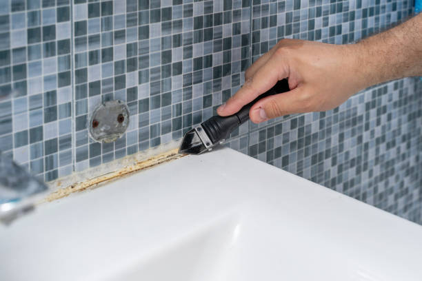 Best Emergency Mold Removal  in San Diego Country Estates, CA