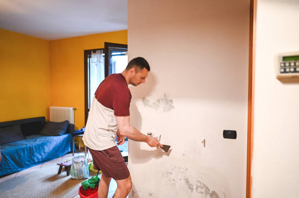 Best Attic Mold Removal  in San Diego Country Estates, CA